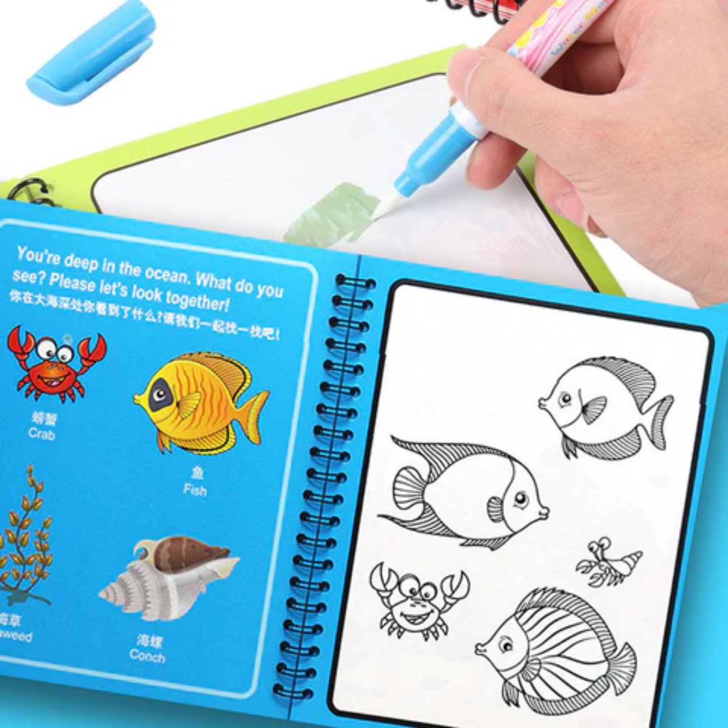 MagicWater™  - Libro reutilizable para niños, que se pinta con agua