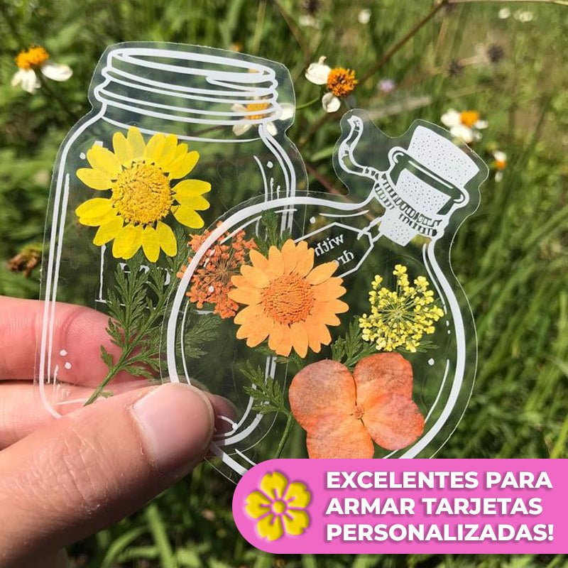 EverBloom™ - Postales para preservar flores y hojas