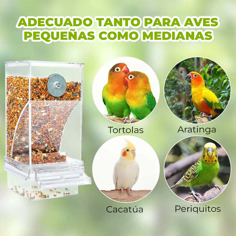 WingWise™ - Alimentador automatico para aves
