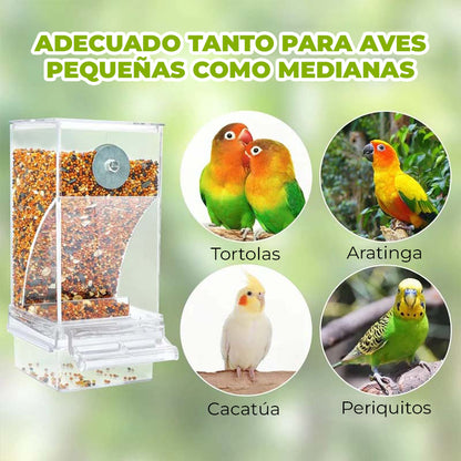 WingWise™ - Alimentador automatico para aves