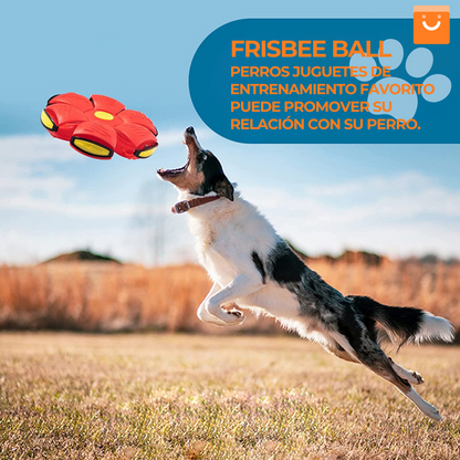 FrisbeeBall™ - juguete para mascotas, con muchas horas de diversión