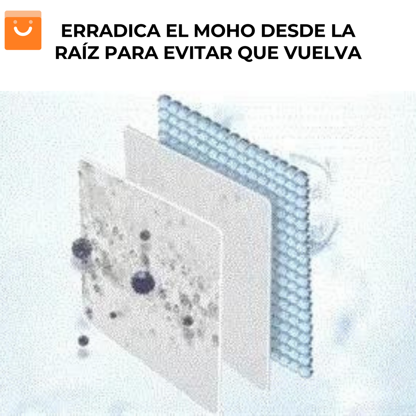 MoldVanish™ - removedor de moho de múltiples superficies