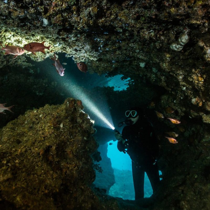 TorchMax - LINTERNA PORTATIL DE ALTO ALCANCE