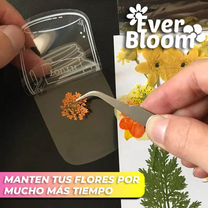 EverBloom™ - Postales florales y naturales