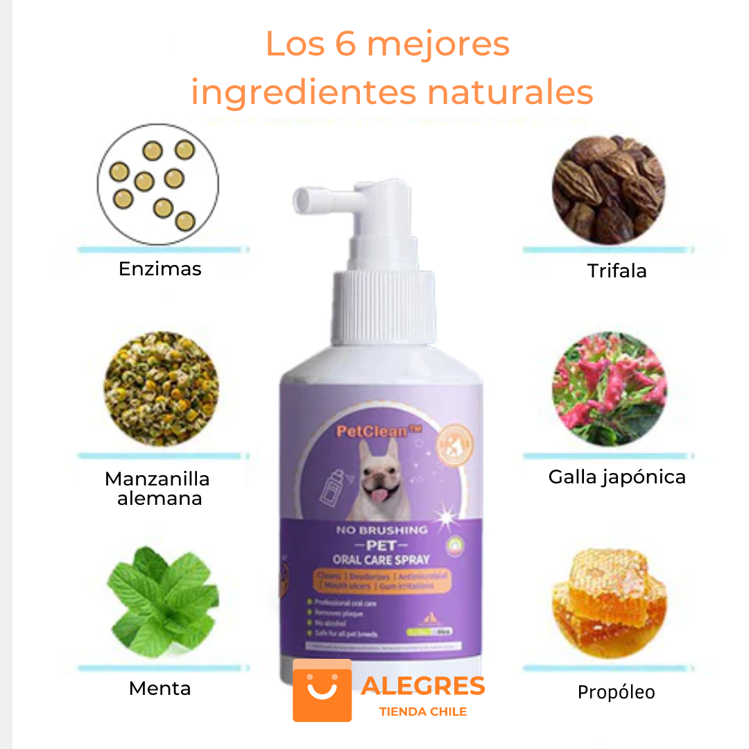 PetClean™ - Aerosol 100 % Natural para el cuidado bucal de perros y gatos | Oferta Exclusiva 2x1