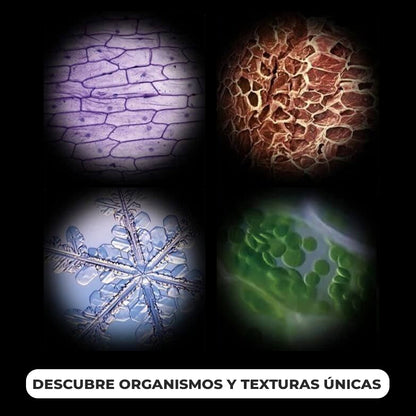 ExploreLite™ - Mini microscopio para niños