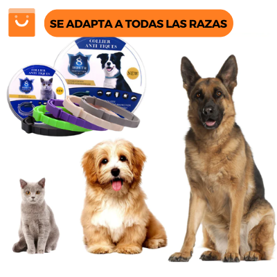 AntiTiques™ - Collar antipulgas y garrapatas