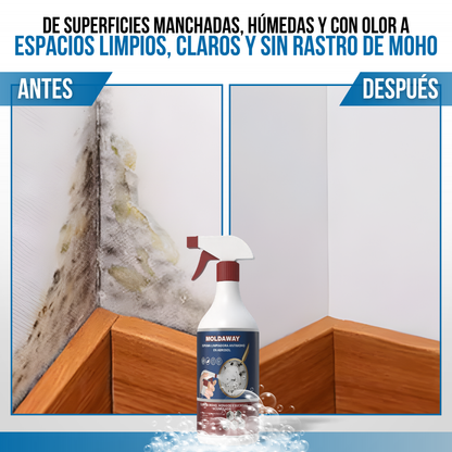 MoldAway™ - Elimina el moho en segundos
