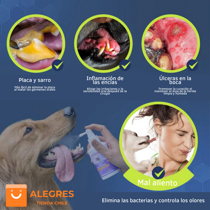 PetClean™ - Aerosol 100 % Natural para el cuidado bucal de perros y gatos
