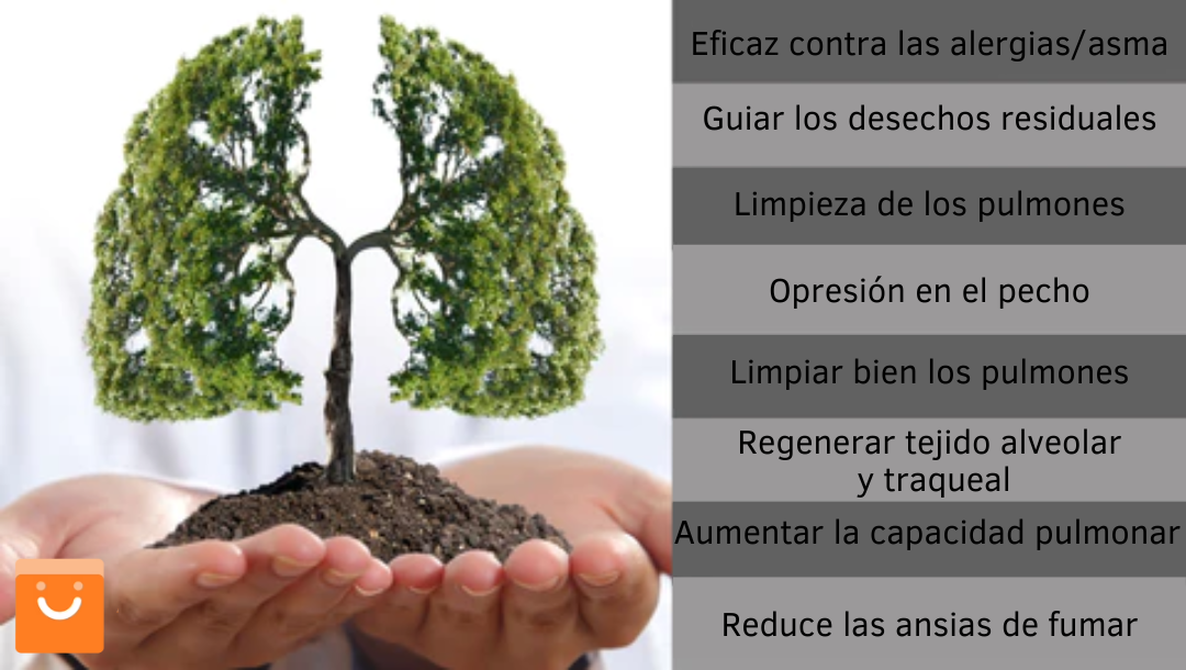 OnNature™ - Spray de limpieza del sistema respiratorio en base a hierbas | Oferta Exclusiva 2x1