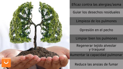 OnNature™ - Spray de limpieza del sistema respiratorio en base a hierbas | Oferta Exclusiva 2x1