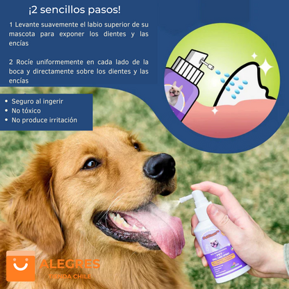 Venta Flash 🔥 | PetClean™ - Aerosol 100 % Natural para el cuidado bucal de perros y gatos