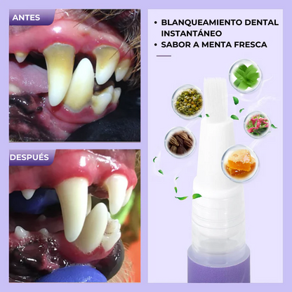 PetOralCare Gel™ - Gel para el blanqueamiento y aseo bucal de mascotas.