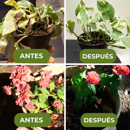 GREENBOOST™ - FERTILIZANTE DE PLANTAS ORGÁNICO EN TABLETA