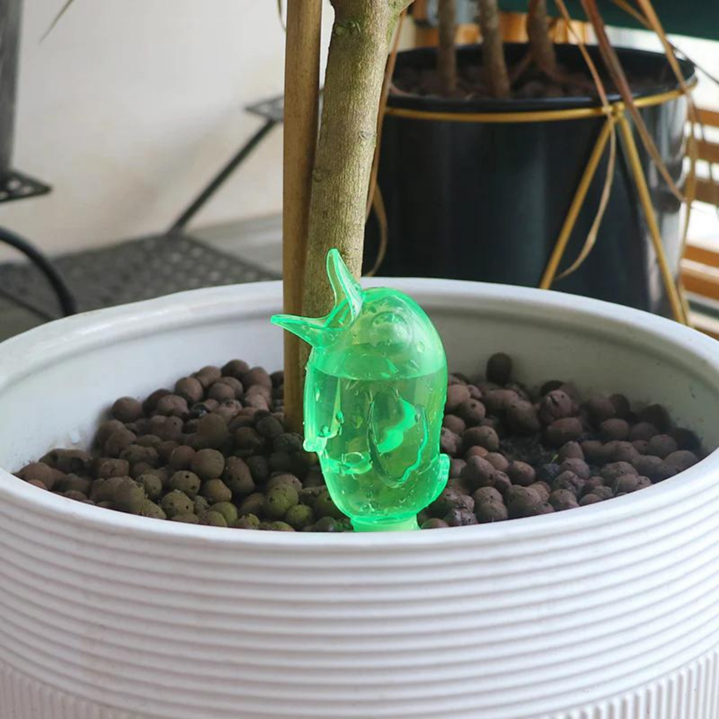 WaterPlant™ - Regador automático para plantas