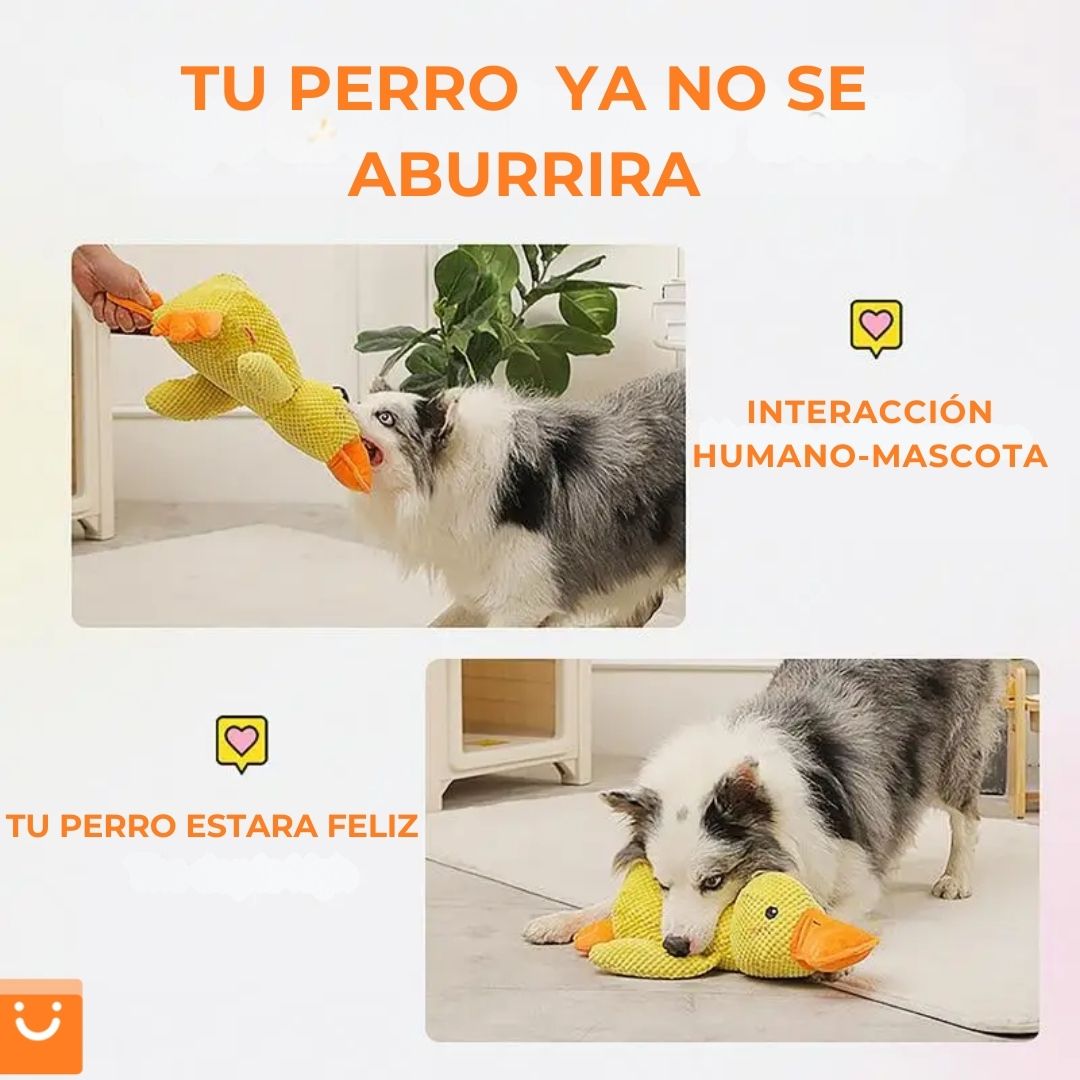 QUACKDUCK™ - PATO DE PELUCHE CON SONIDO PARA PERROS