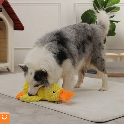 QUACKDUCK™ - PATO DE PELUCHE CON SONIDO PARA PERROS