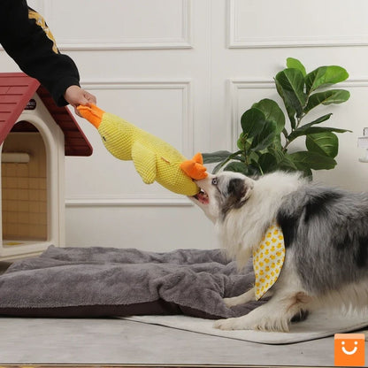 QUACKDUCK™ - PATO DE PELUCHE CON SONIDO PARA PERROS