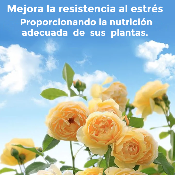 Plantsupport - Fertilizante para plantas