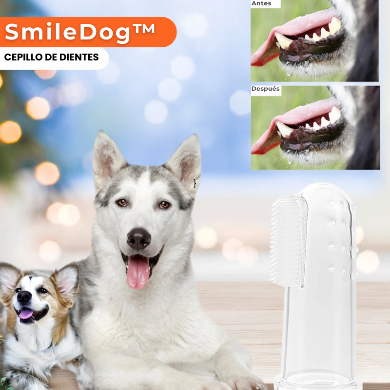 SmileDog™ -  CEPILLO DE DIENTES PARA PERROS | Oferta Exclusiva 2x1