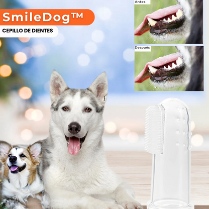 SmileDog™ -  CEPILLO DE DIENTES PARA PERROS | Oferta Exclusiva 2x1