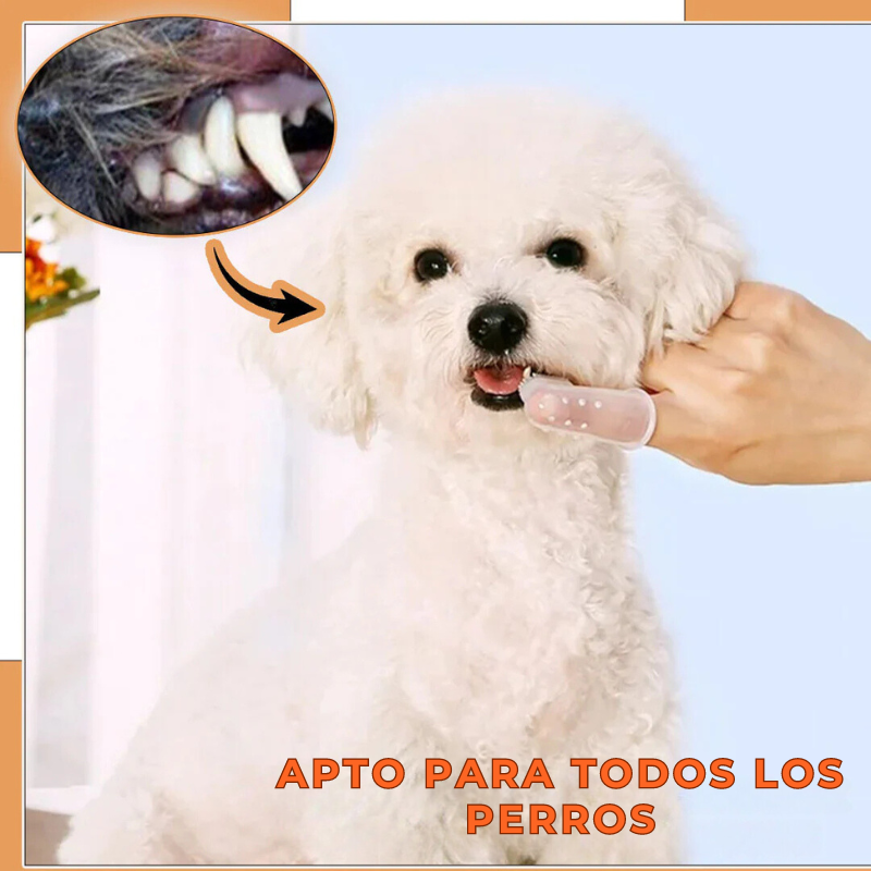 SmileDog™ -  CEPILLO DE DIENTES PARA PERROS | Oferta Exclusiva 2x1