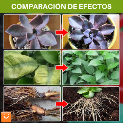 BoneFert Boost™ - ABONO ORGÁNICO ESPECIAL A BASE DE HARINA DE HUESOS