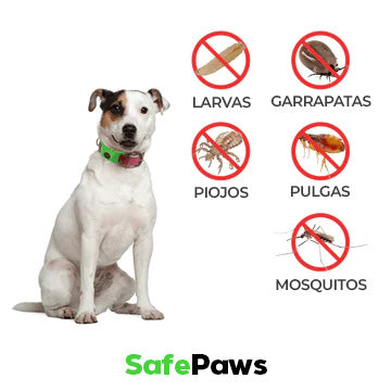 SafePaws™ - Collar antipulgas para perros 100% natural