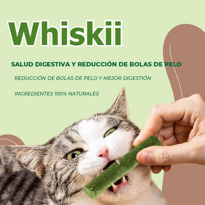 Whiskii™ - Palillos limpiadores de dientes para gatos