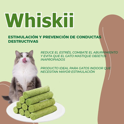 Whiskii™ - Palillos limpiadores de dientes para gatos