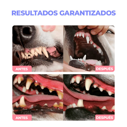 HappyTeeths™ - Spray bucal para mascotas