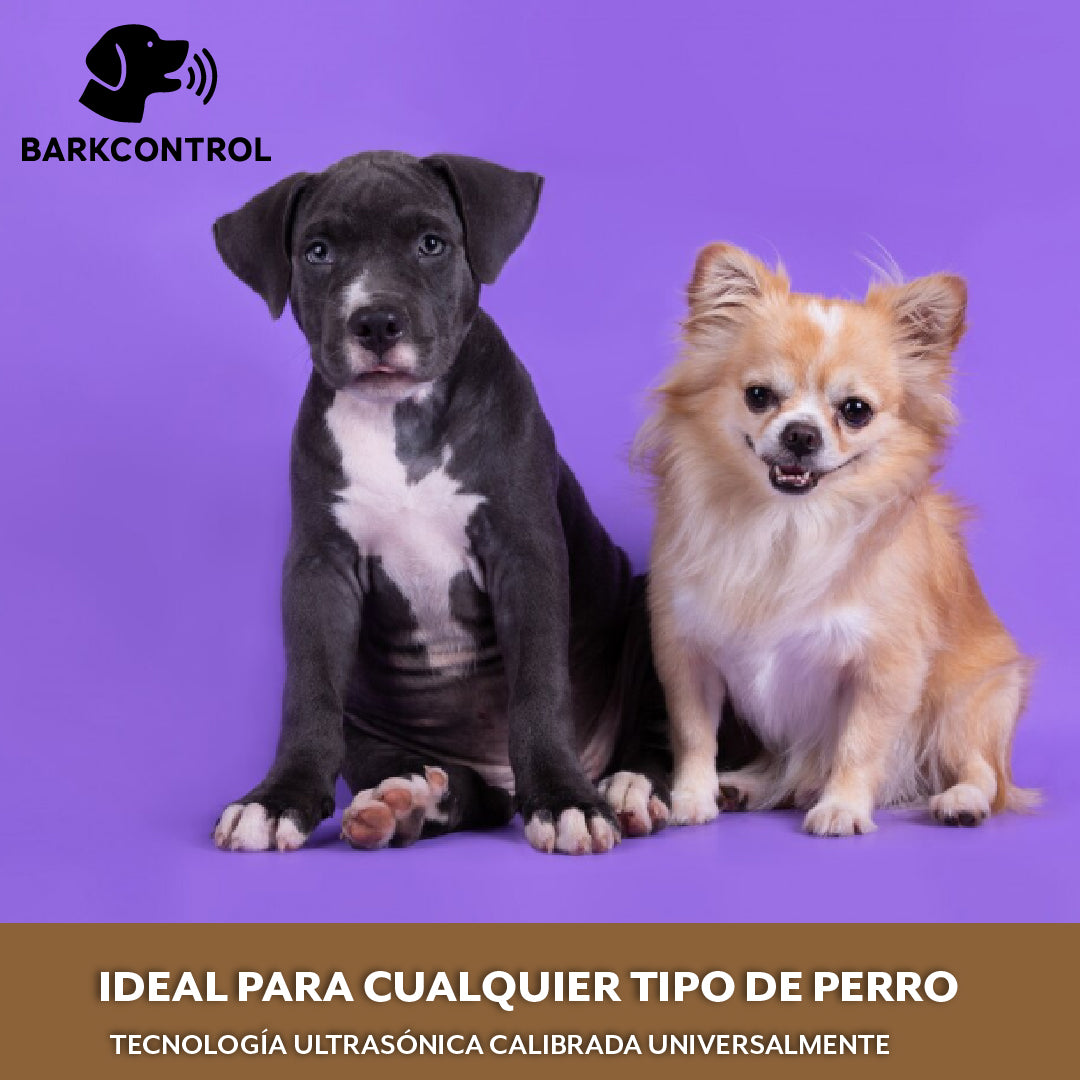 BarkControl™- Controla los Ladridos de Forma Segura