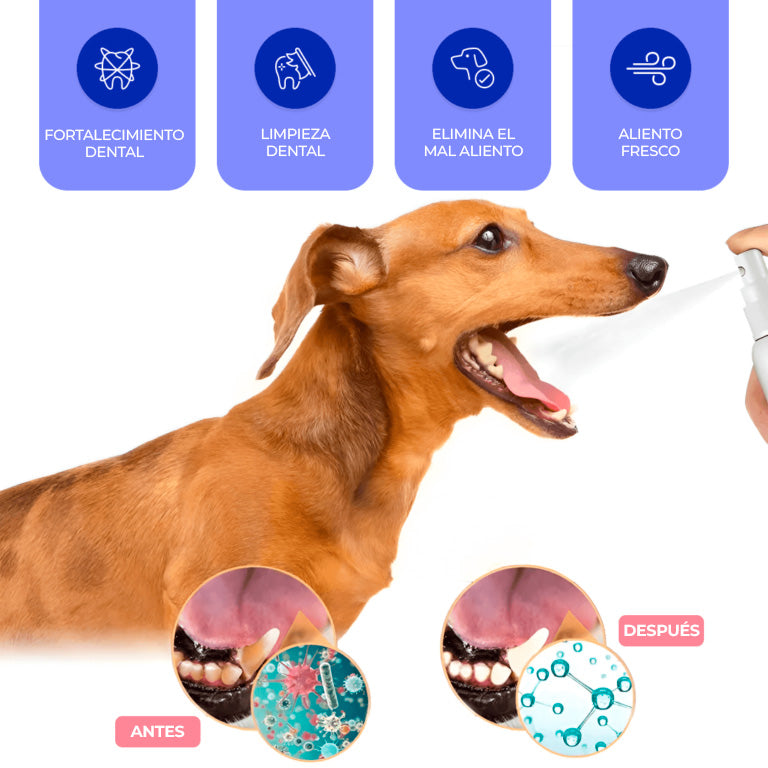 HappyTeeths™ - Spray bucal para mascotas