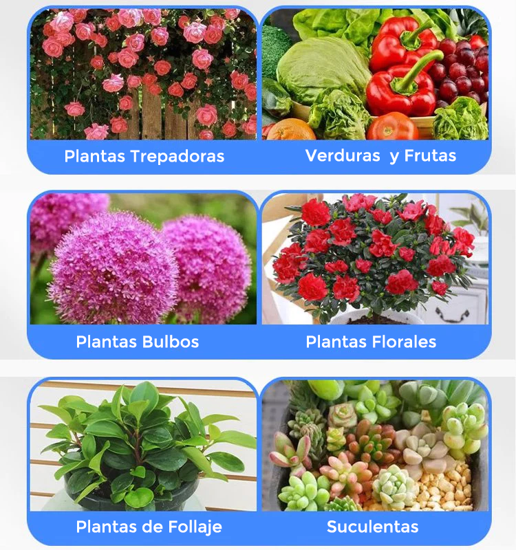 Plantsupport - Fertilizante para plantas