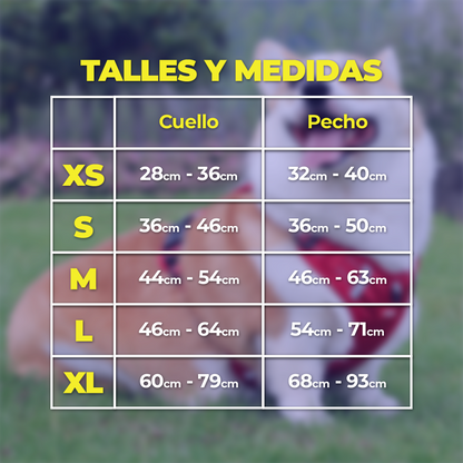 DogSafe™ Correa antitirones para perros