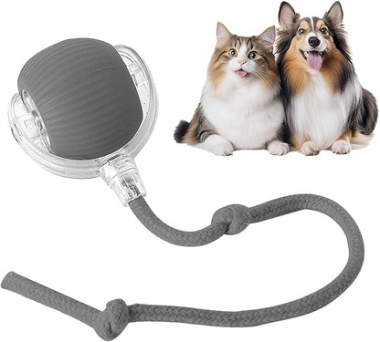 SpinPet™ - Juguete interactivo para gatos