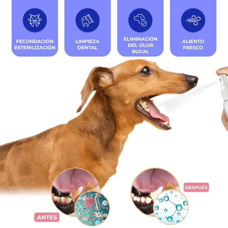 PetPure™ - Elimina el sarro de mascota en 3 días