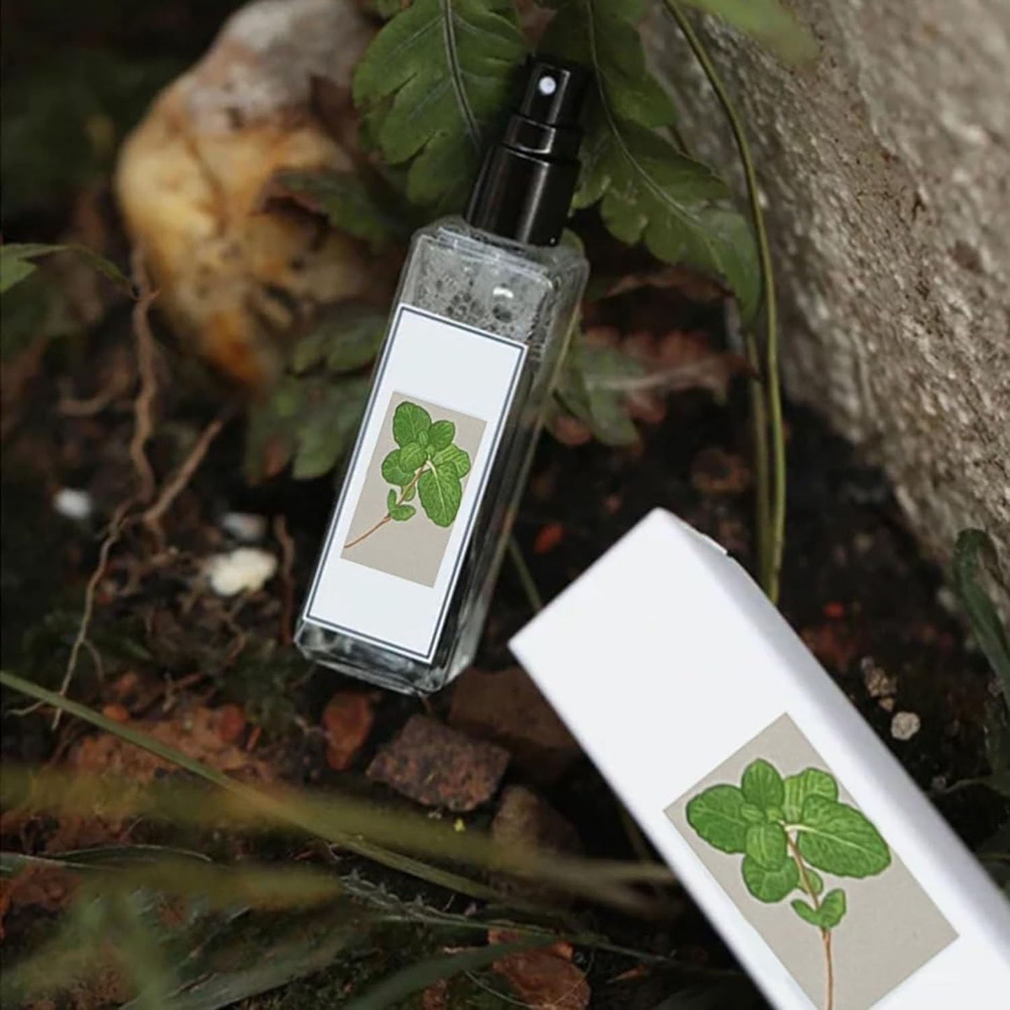 KittyJoy™ - Atracción de gatos a base de hierbas