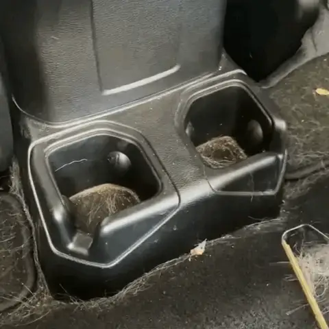 HairCleanBrush™ - Cepillo limpiador de pelo