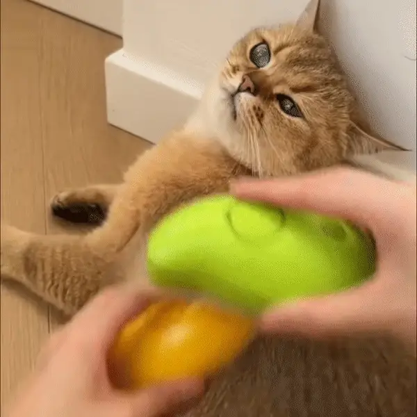 FURFRESH™ - CEPILLO 3 EN 1 DE VAPOR PARA GATOS