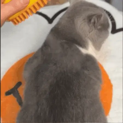 FURFRESH™ - CEPILLO 3 EN 1 DE VAPOR PARA GATOS