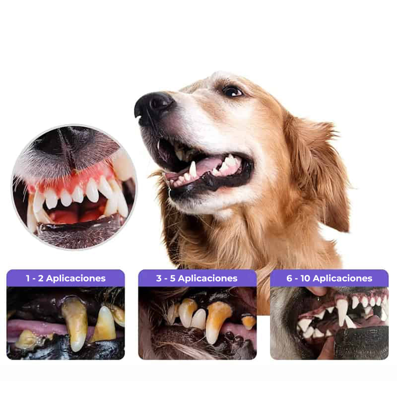 PetPure™ - Elimina el sarro de mascota en 3 días