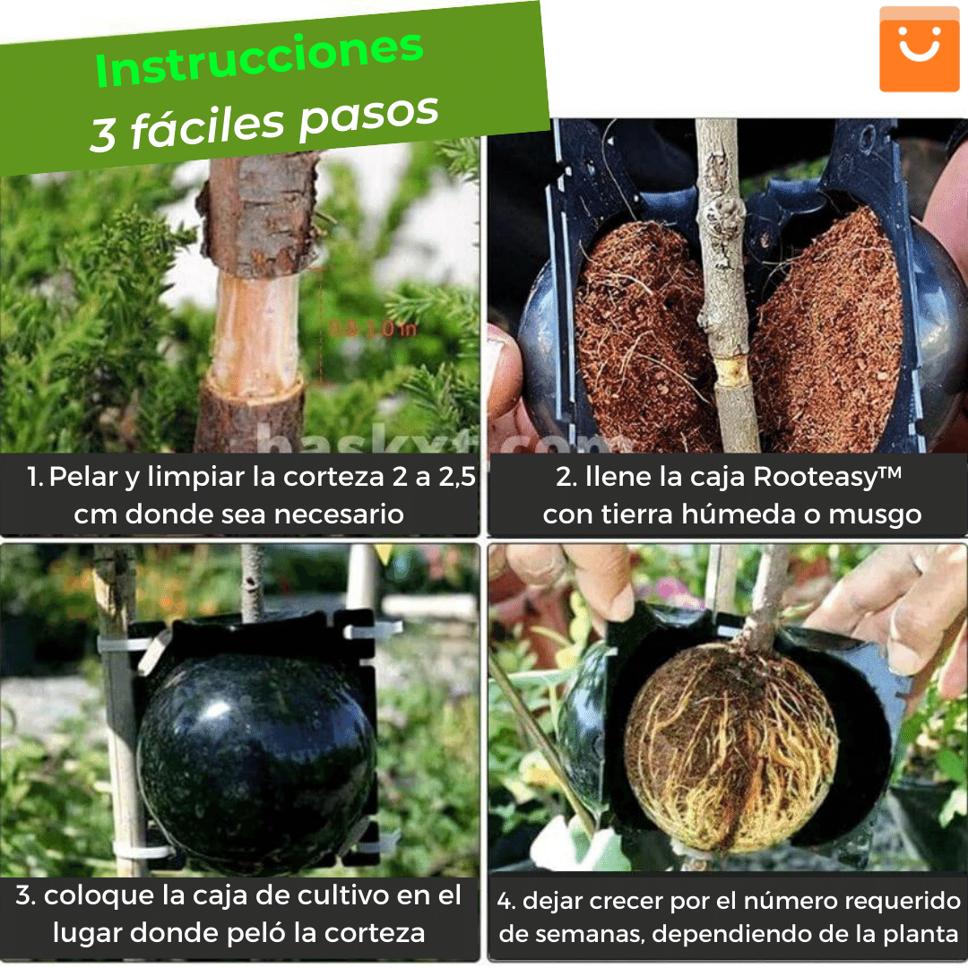 RootEasy™️ - Cultiva plantas rápidamente