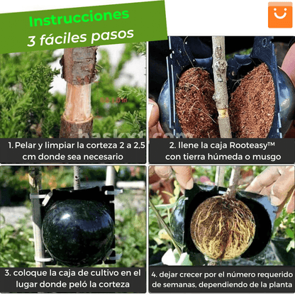 RootEasy™️ - Cultiva plantas rápidamente