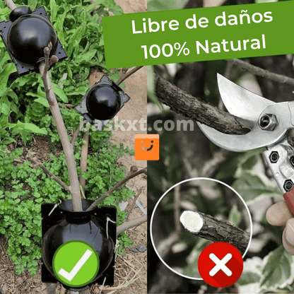 RootEasy™️ - Cultiva plantas rápidamente
