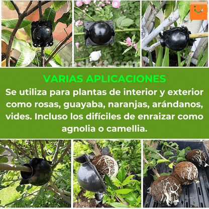 RootEasy™️ - Cultiva plantas rápidamente