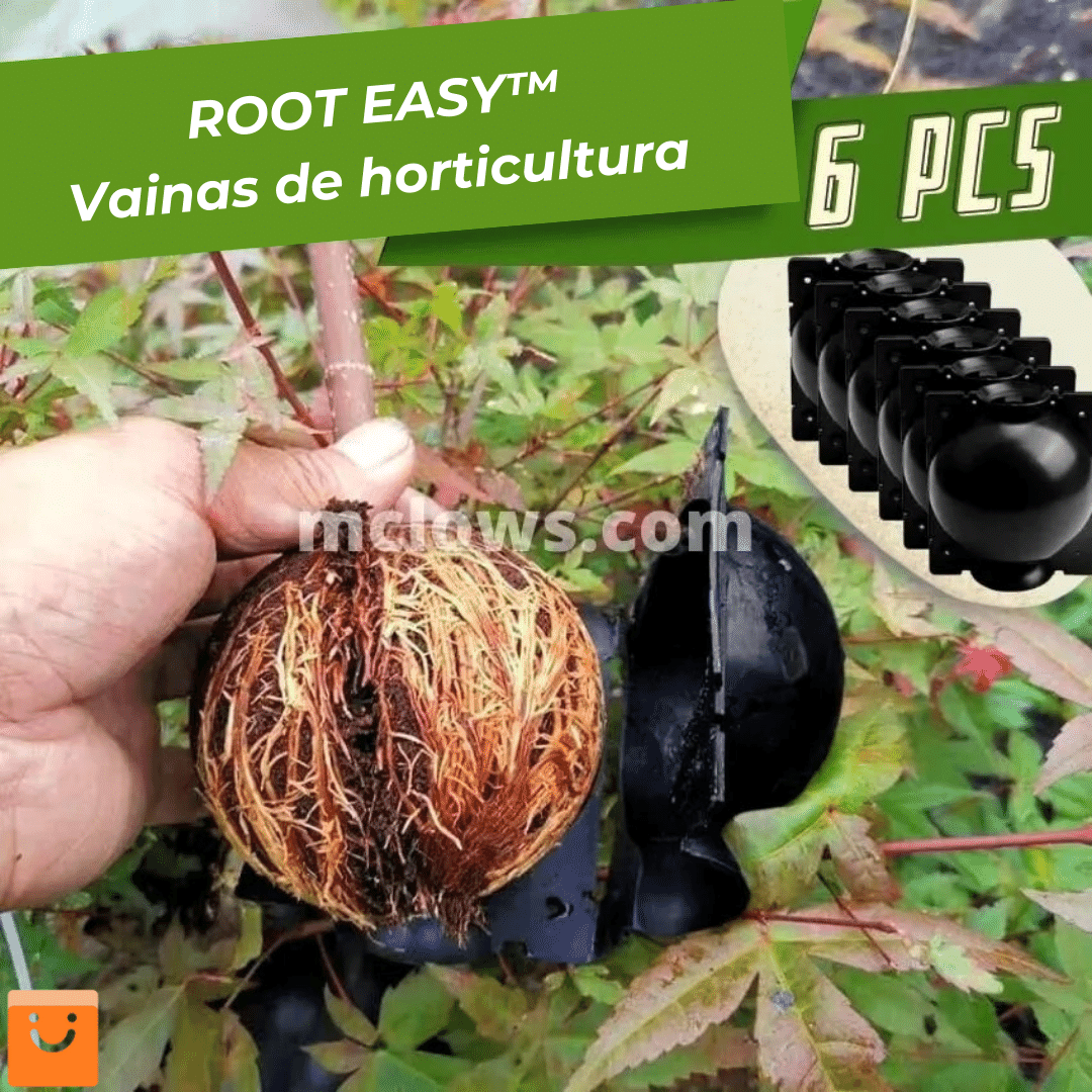 RootEasy™️ - Cultiva plantas rápidamente