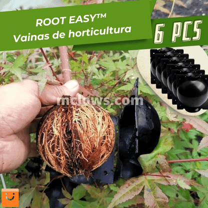 RootEasy™️ - Cultiva plantas rápidamente