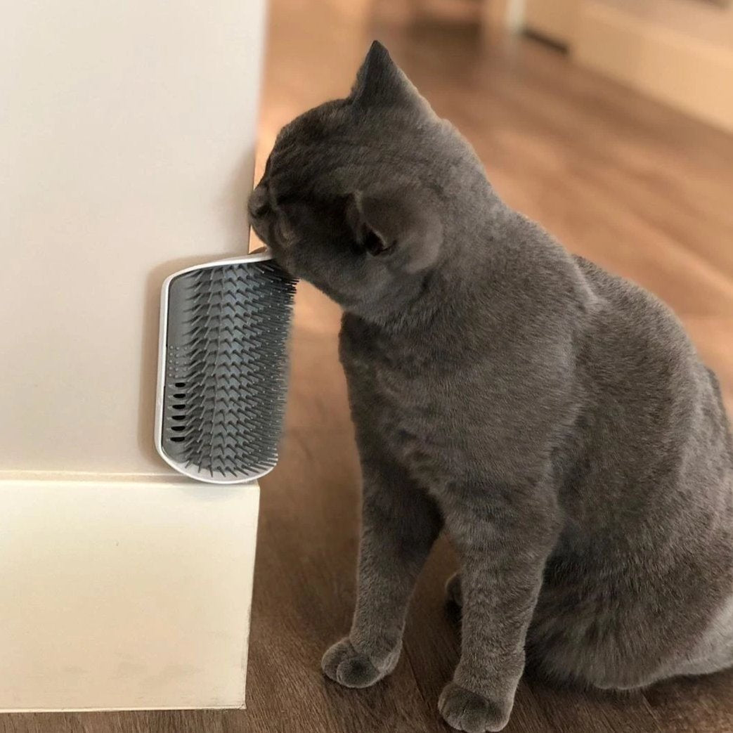 Rascador para gatos