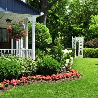 RootEasy™️ - Cultiva plantas rápidamente